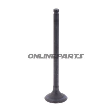 Outlet Valve (Orig Spare Part)