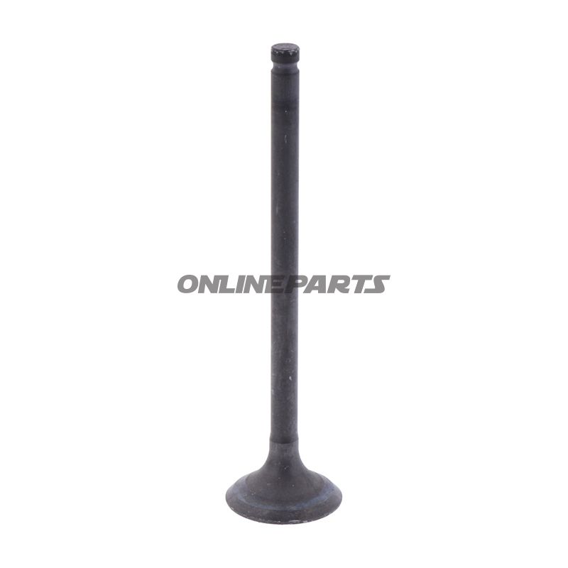 Outlet Valve (Orig Spare Part)