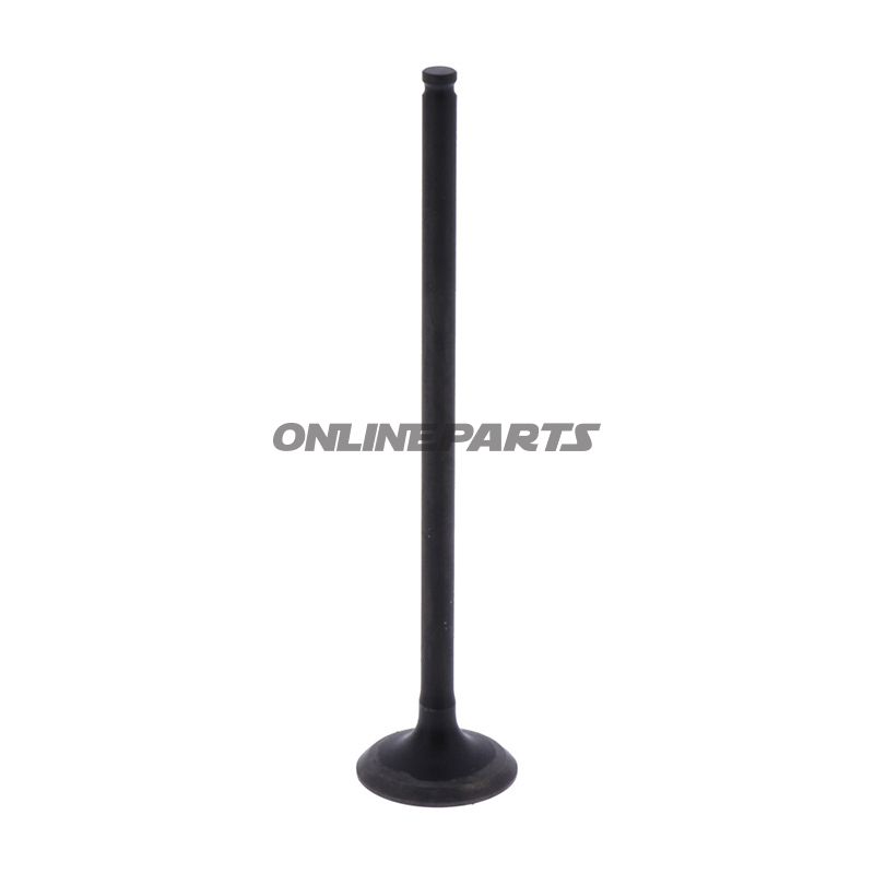 Outlet Valve (Orig Spare Part)