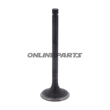 Outlet Valve (Orig Spare Part)