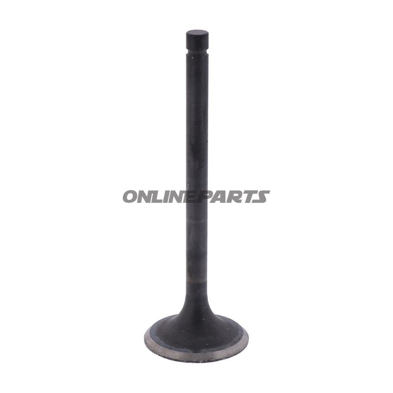 Outlet Valve (Orig Spare Part)