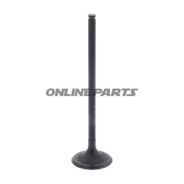 Outlet Valve (Orig Spare Part)