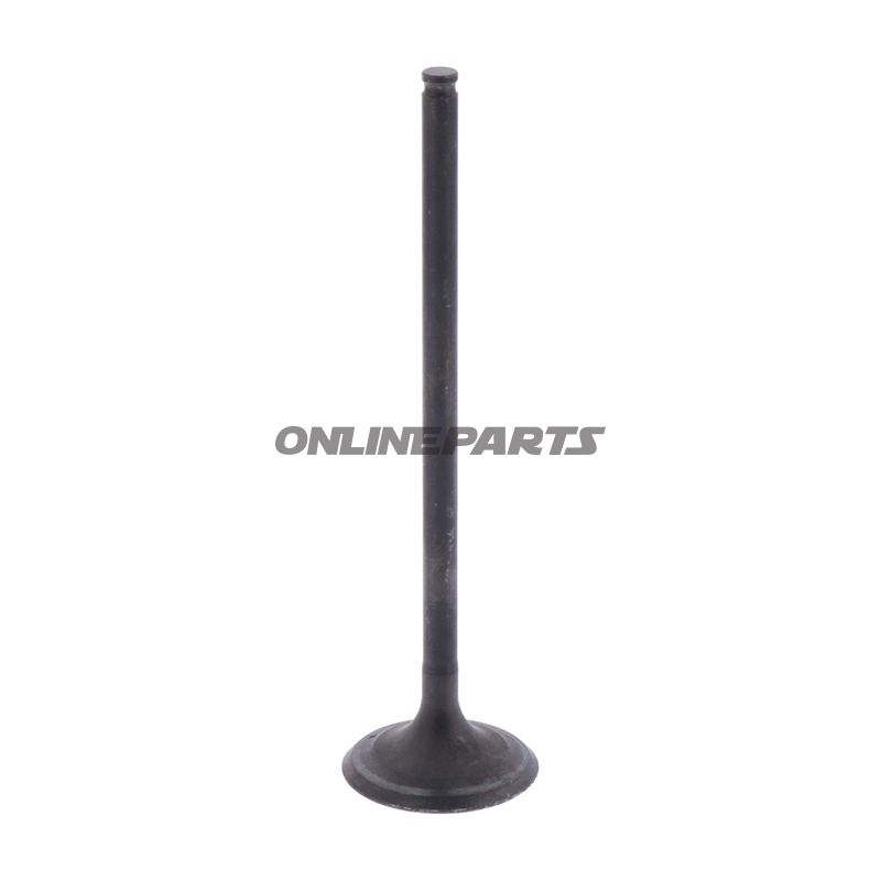 Outlet Valve (Orig Spare Part)