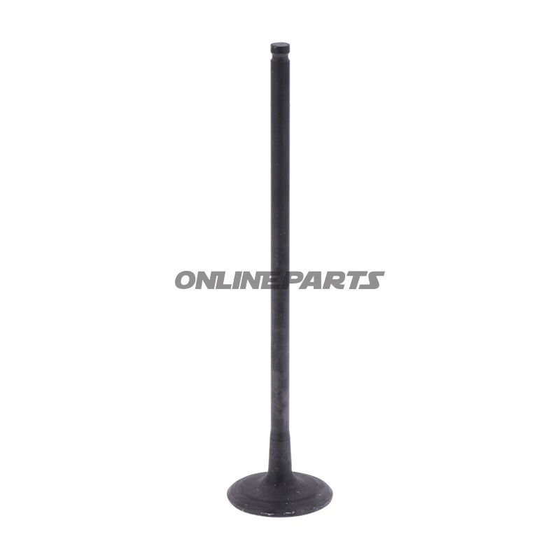 Outlet Valve (Orig Spare Part)