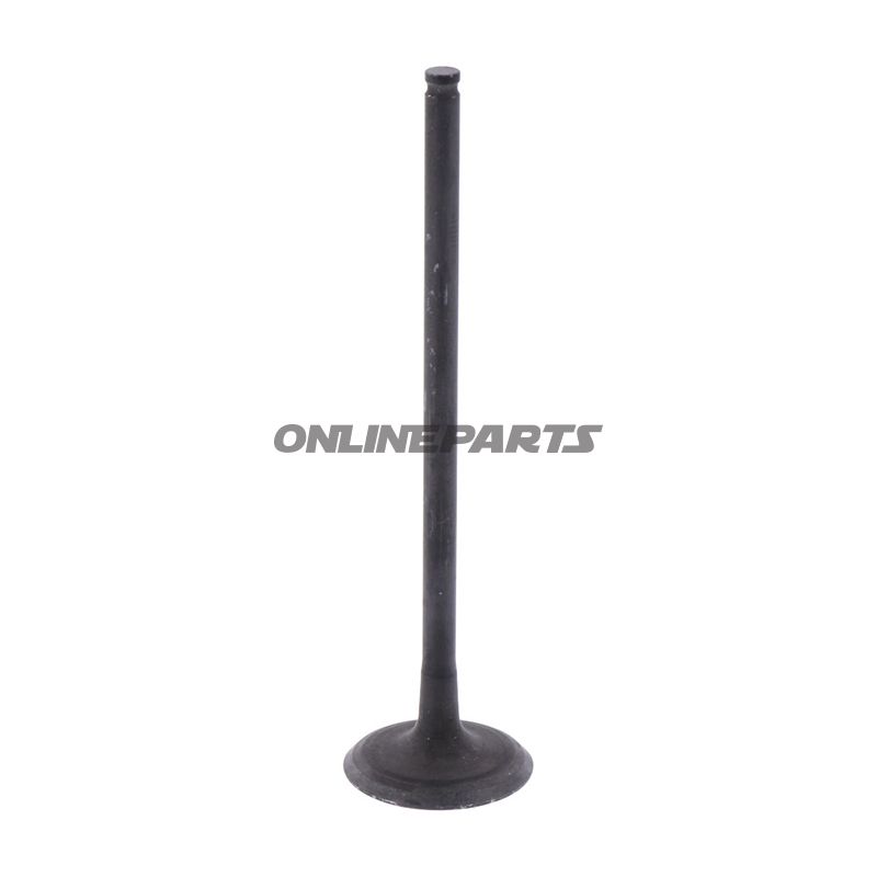 Outlet Valve (Orig Spare Part)