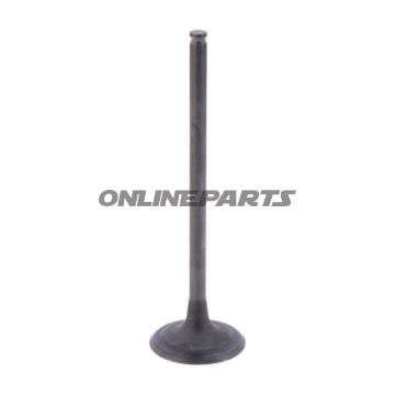 Outlet Valve (Orig Spare Part)