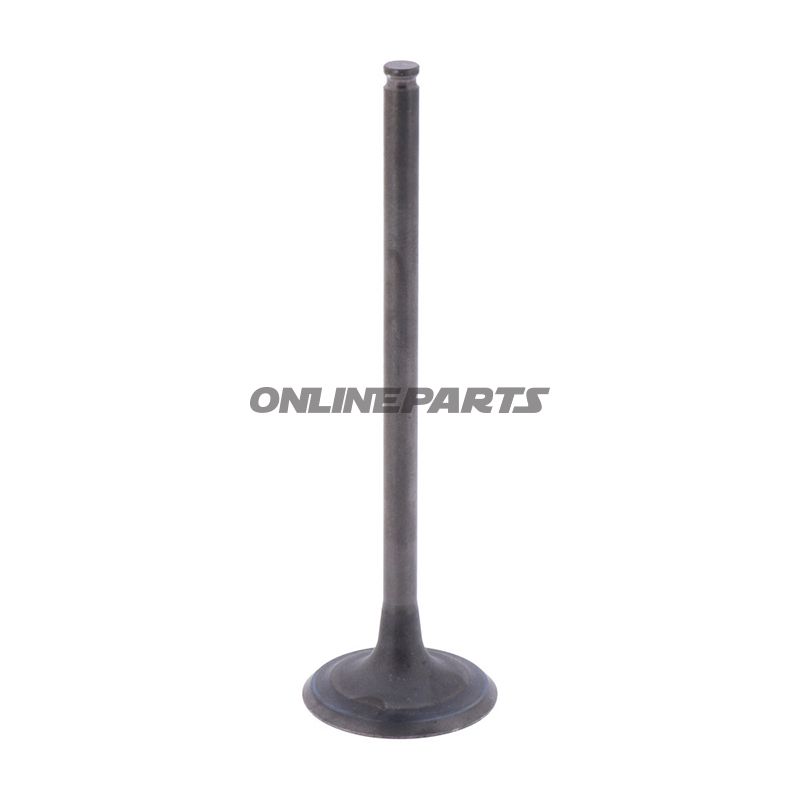 Outlet Valve (Orig Spare Part)