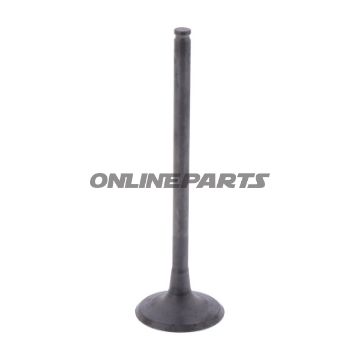 Outlet Valve (Orig Spare Part)
