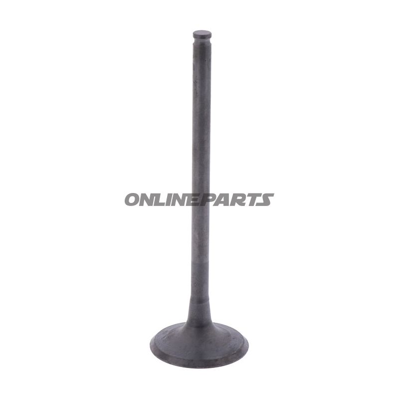 Outlet Valve (Orig Spare Part)