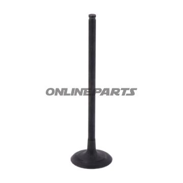 Outlet Valve (Orig Spare Part)