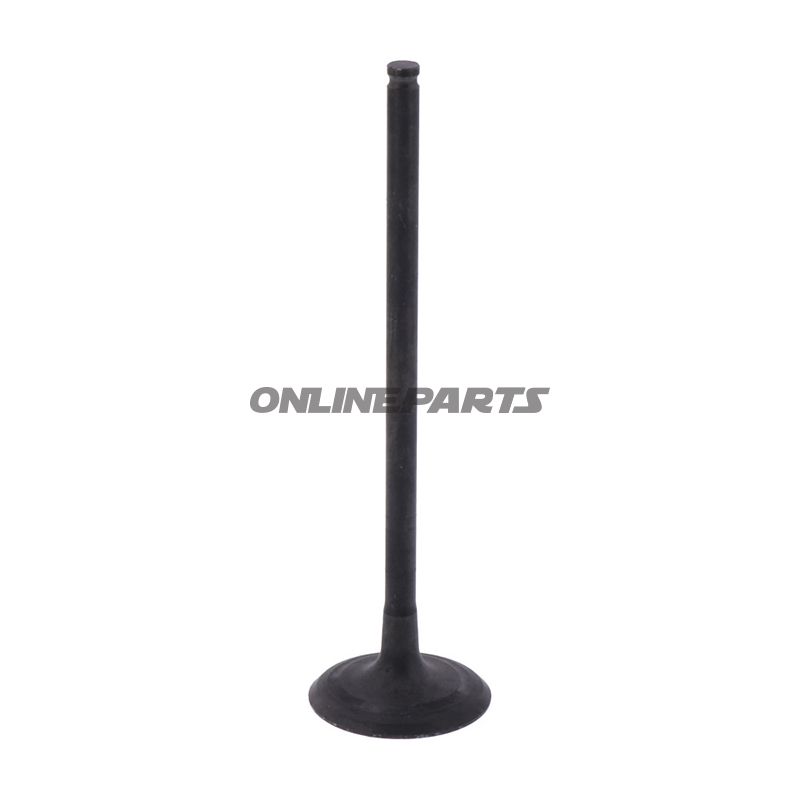 Outlet Valve (Orig Spare Part)