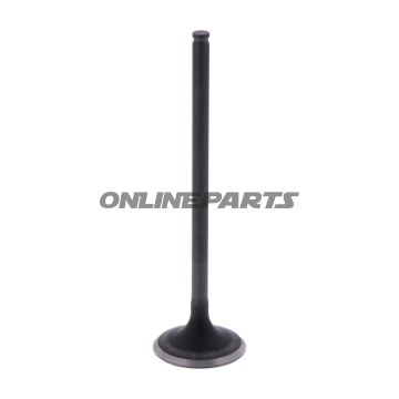 Outlet Valve (Orig Spare Part)