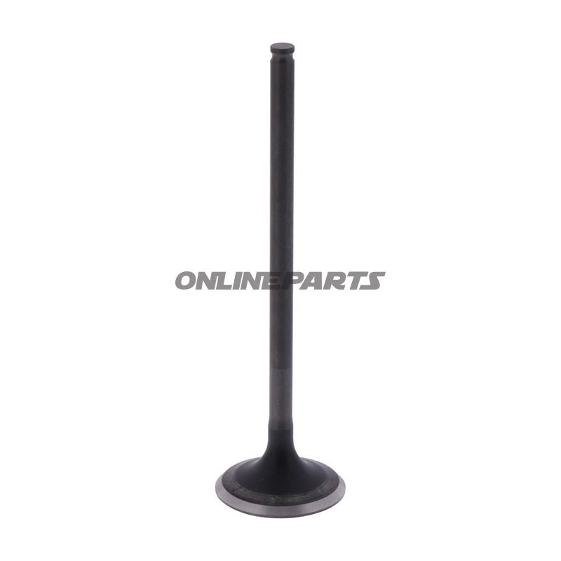 Outlet Valve (Orig Spare Part)