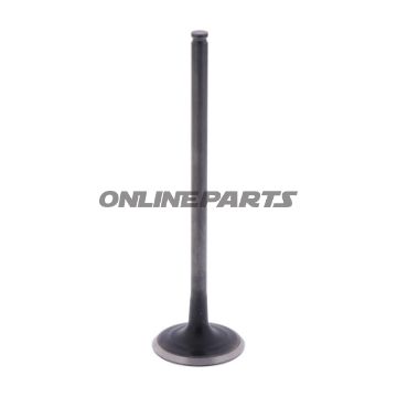 Outlet Valve (Orig Spare Part)