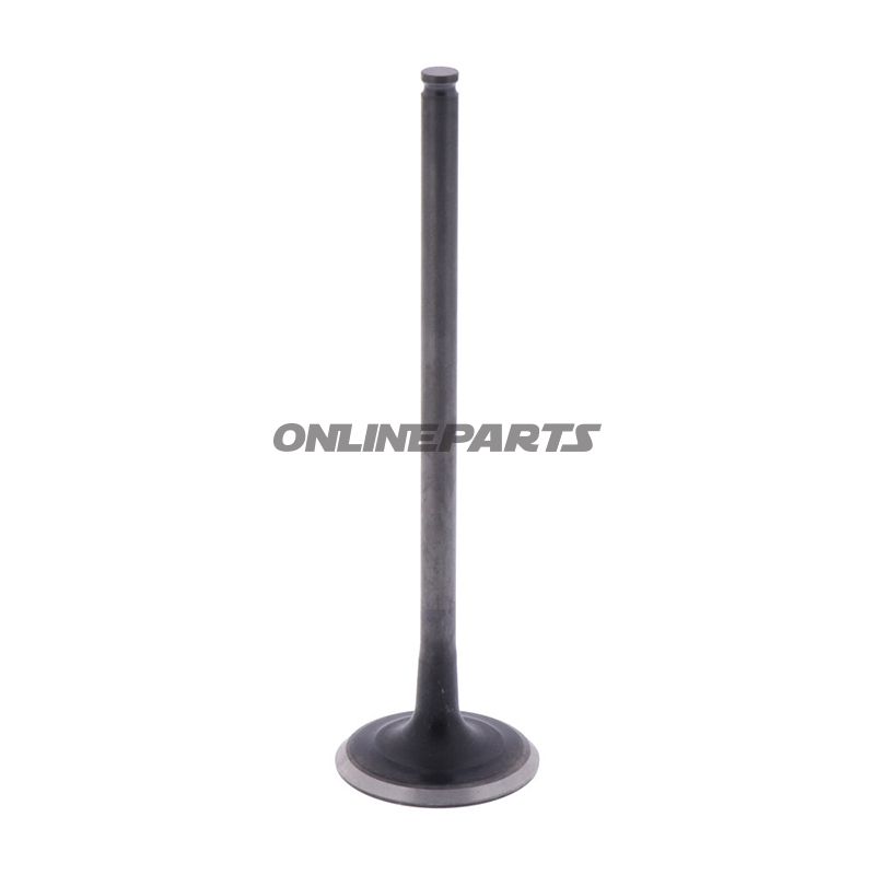 Outlet Valve (Orig Spare Part)