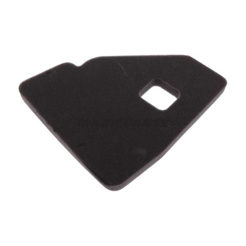 Air Filter Foam (Orig Spare Part)