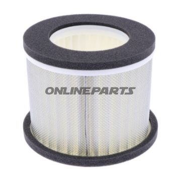 Air Filter (Orig Spare Part)