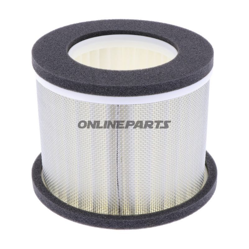 Air Filter (Orig Spare Part)