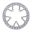 Brake Disc Rigid Trw
