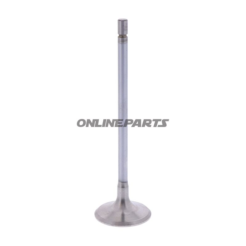 Outlet Valve (Orig Spare Part)