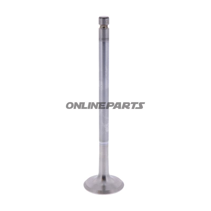 Outlet Valve (Orig Spare Part)