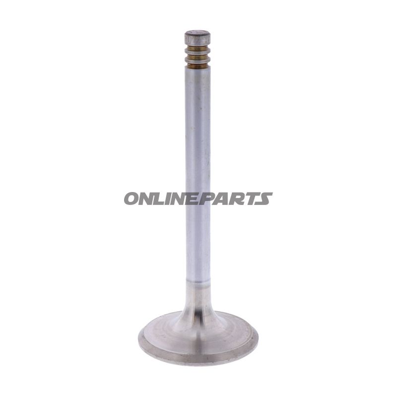 Outlet Valve (Orig Spare Part)
