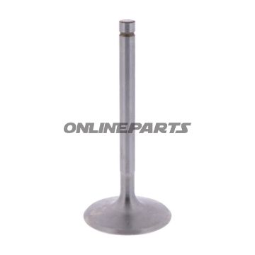 Intake Valve (Orig Spare Part)