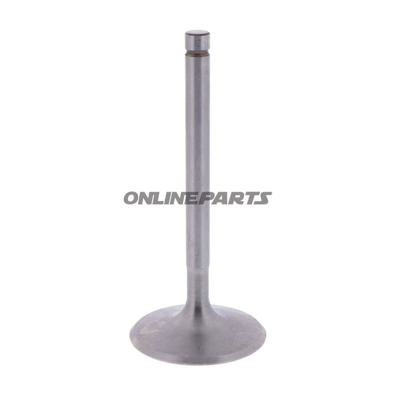 Intake Valve (Orig Spare Part)