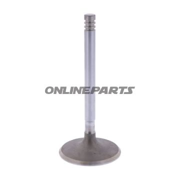 Intake Valve (Orig Spare Part)