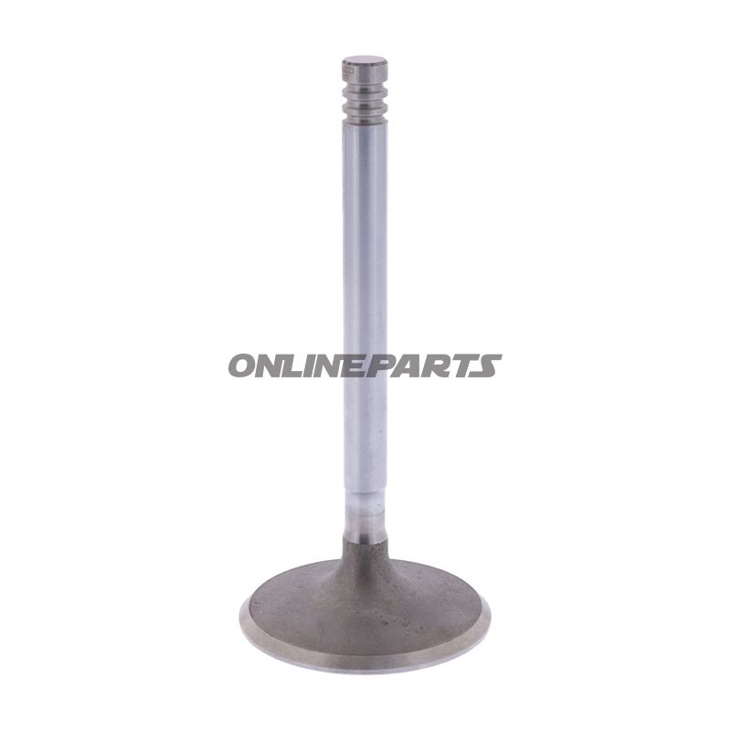 Intake Valve (Orig Spare Part)