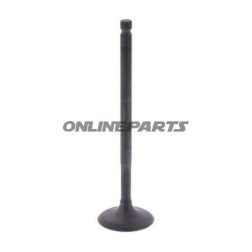 Intake Valve (Orig Spare Part)
