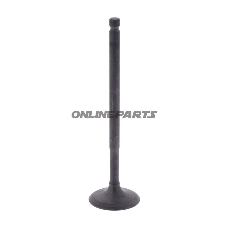 Intake Valve (Orig Spare Part)