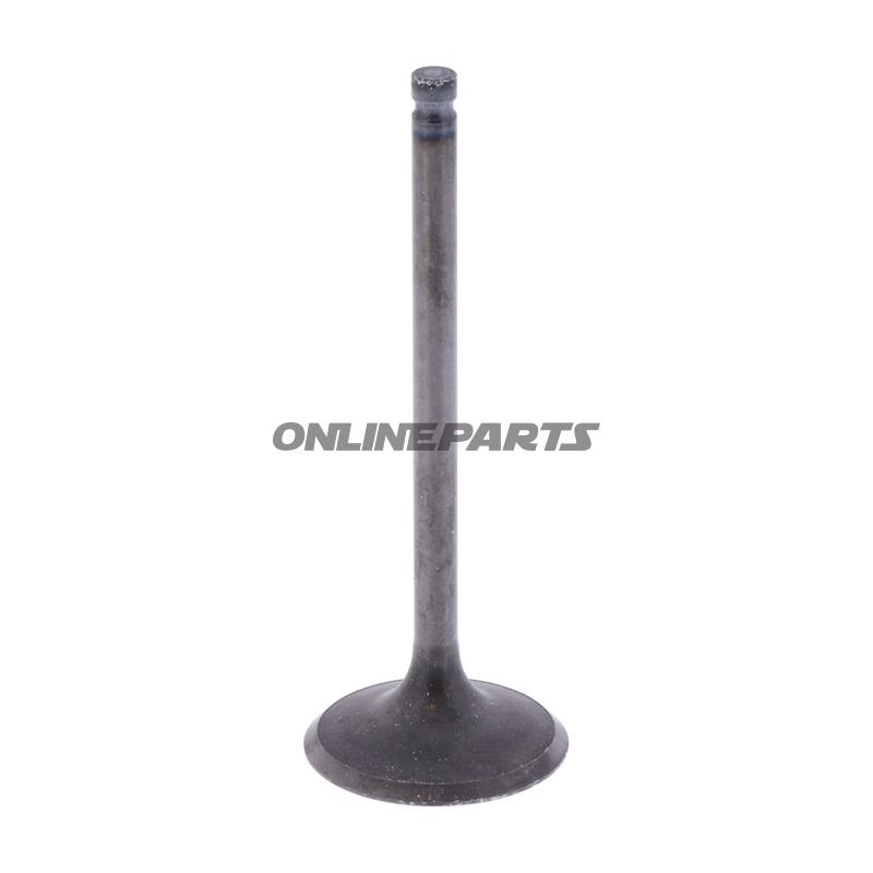 Intake Valve (Orig Spare Part)