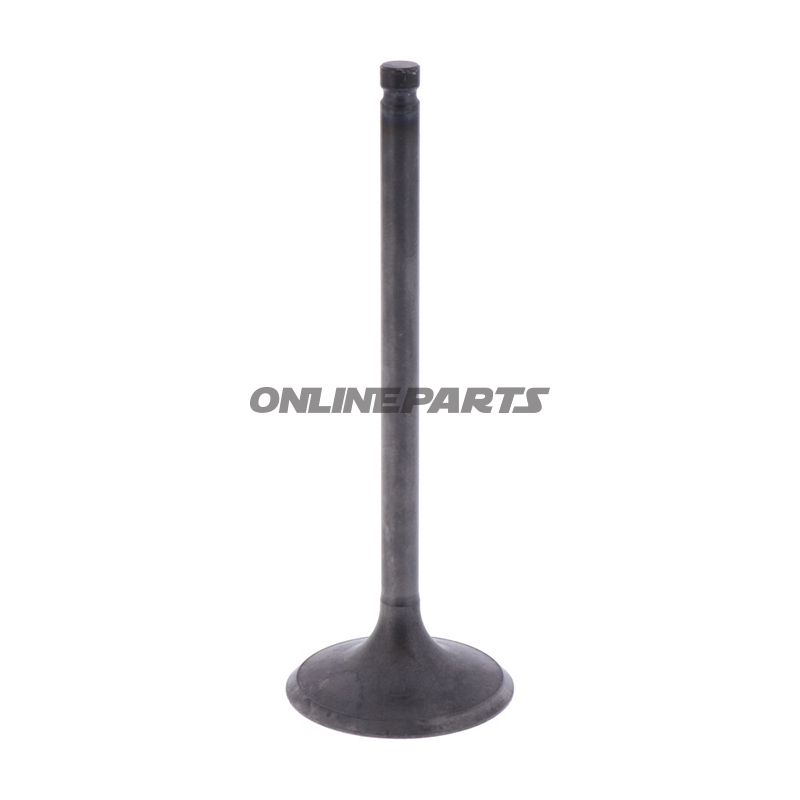Intake Valve (Orig Spare Part)