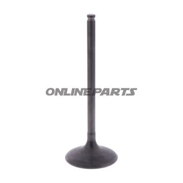 Intake Valve (Orig Spare Part)