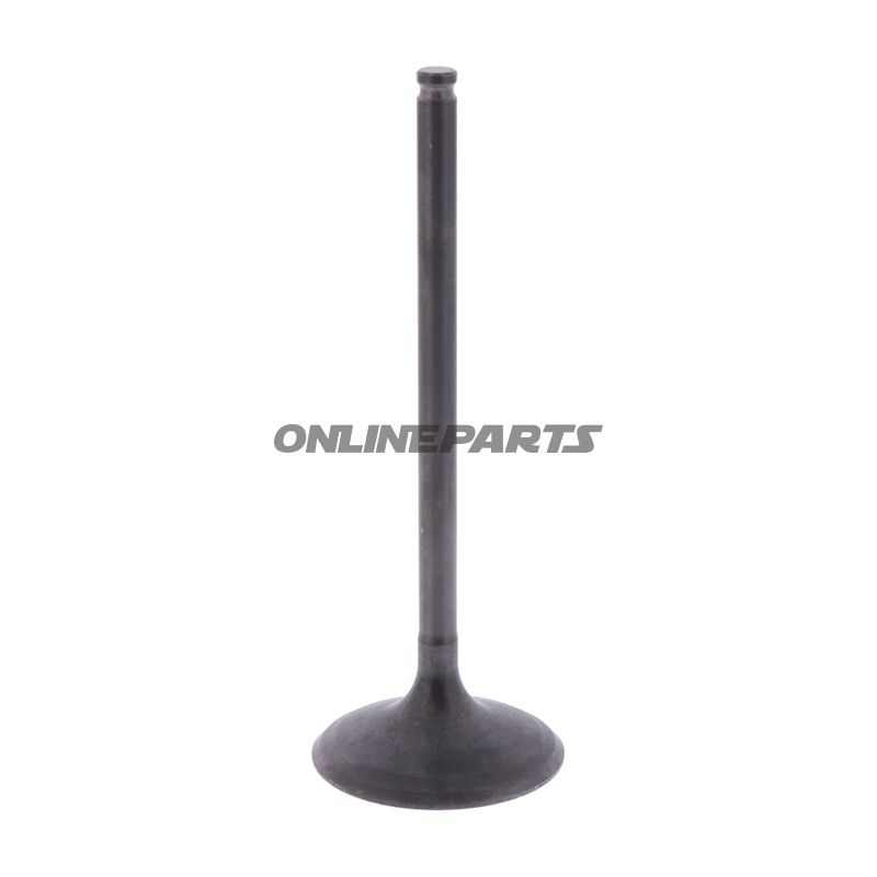 Intake Valve (Orig Spare Part)