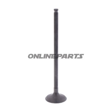 Intake Valve (Orig Spare Part)