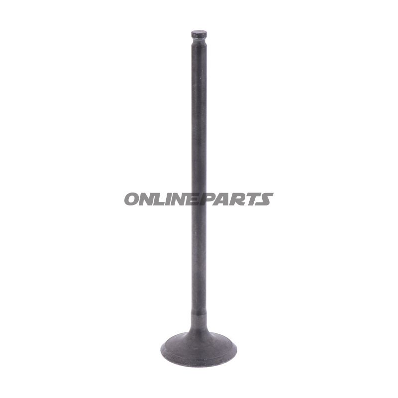 Intake Valve (Orig Spare Part)