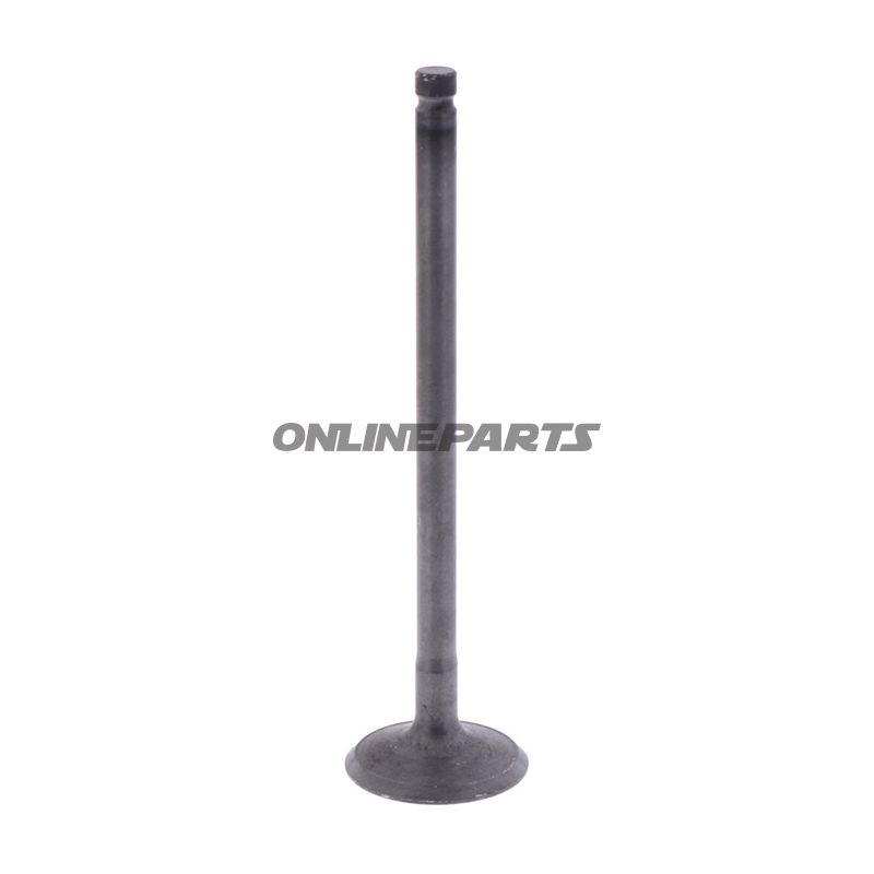 Intake Valve (Orig Spare Part)
