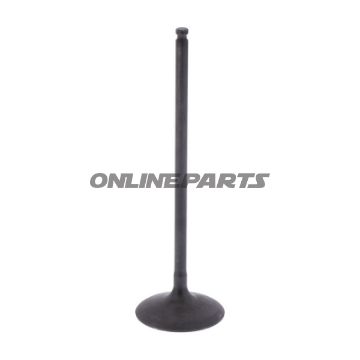 Intake Valve (Orig Spare Part)