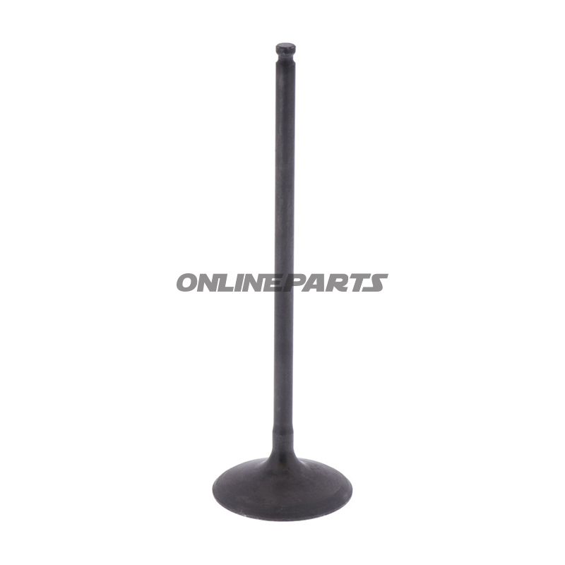 Intake Valve (Orig Spare Part)
