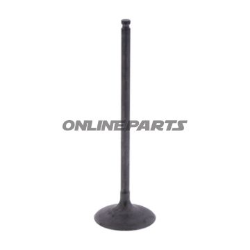 Intake Valve (Orig Spare Part)