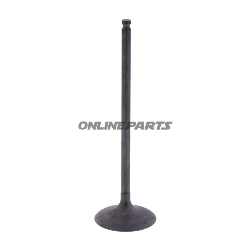 Intake Valve (Orig Spare Part)