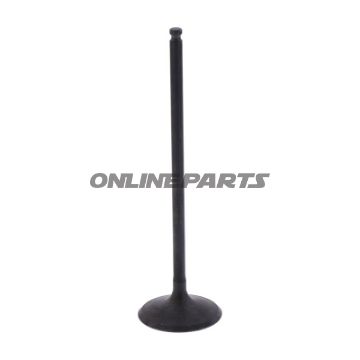 Intake Valve (Orig Spare Part)