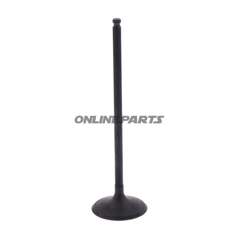 Intake Valve (Orig Spare Part)