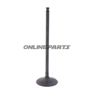Intake Valve (Orig Spare Part)