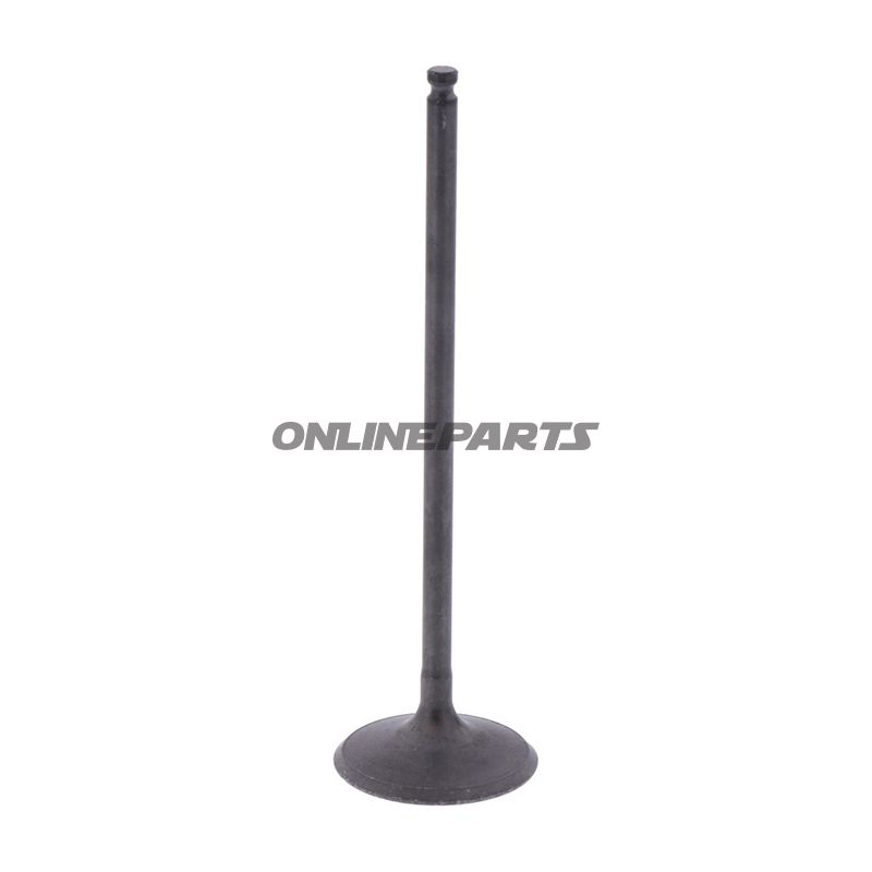 Intake Valve (Orig Spare Part)