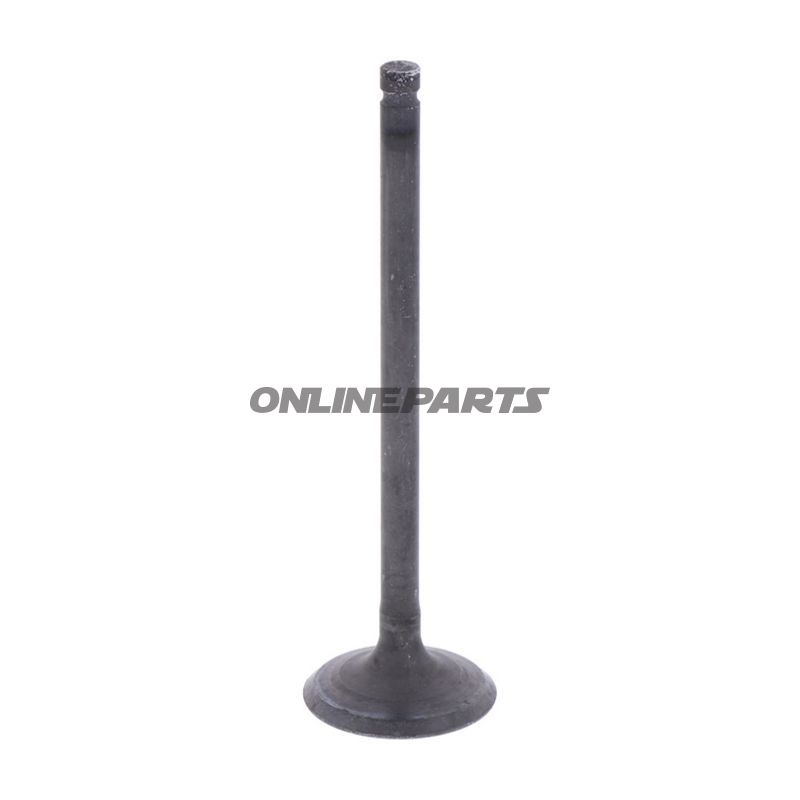 Outlet Valve (Orig Spare Part)