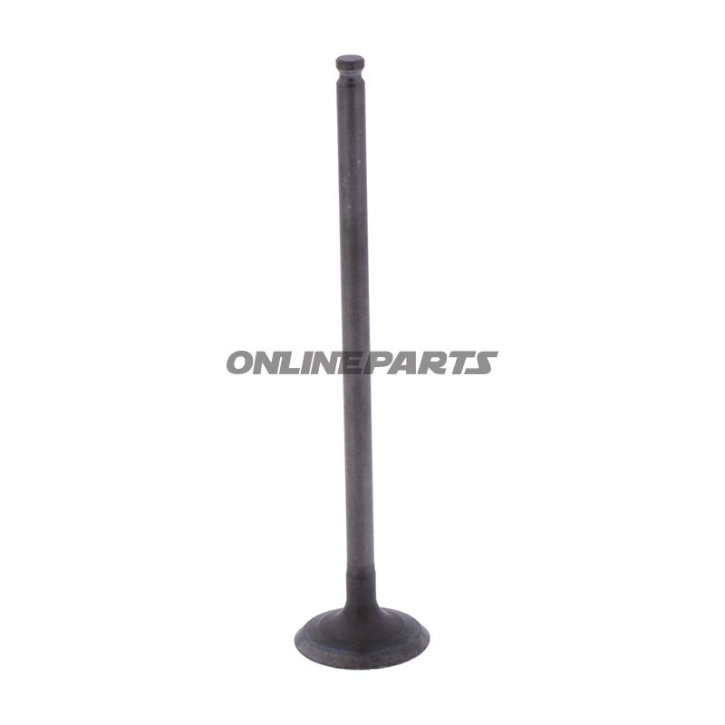 Outlet Valve (Orig Spare Part)