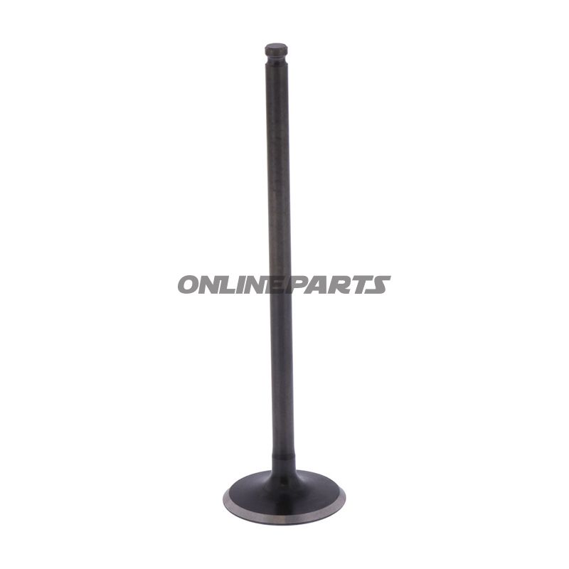 Outlet Valve (Orig Spare Part)